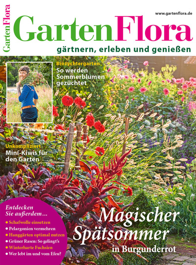 Einfach Hausgemacht Titelbild