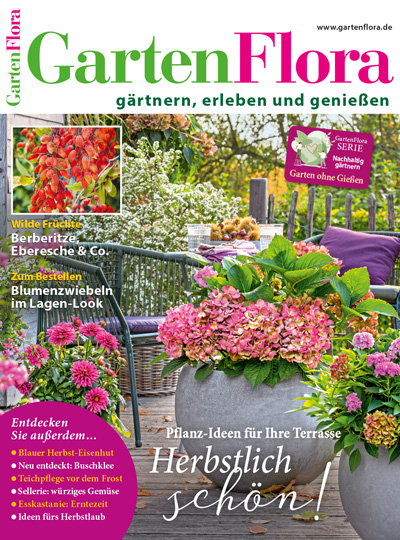Einfach Hausgemacht Titelbild 