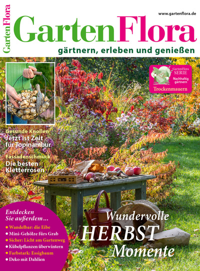 Einfach Hausgemacht Titelbild 